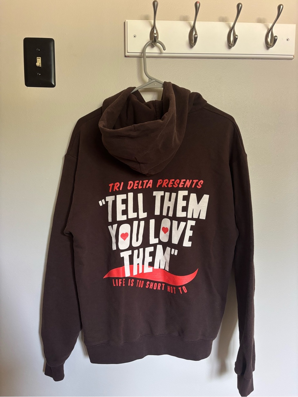 Tri Delta Brown Pullover Hoodie with White & Red Graphic